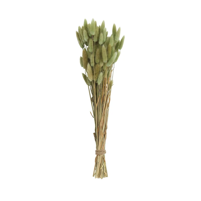 Hello Honey® Dried Natural Bunny Tail Grass Bunch