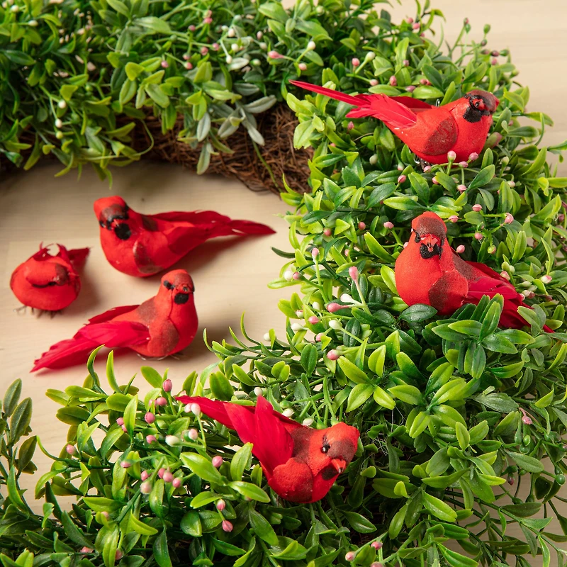 6 Packs: 6 ct. (36 total) Red Feather Cardinals by Ashland®
