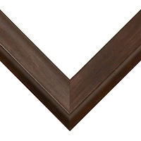 Frame USA Verona Narrow Mocha Single Image Picture Frame