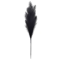 42" Black Pampas Grass Stem by Ashland®