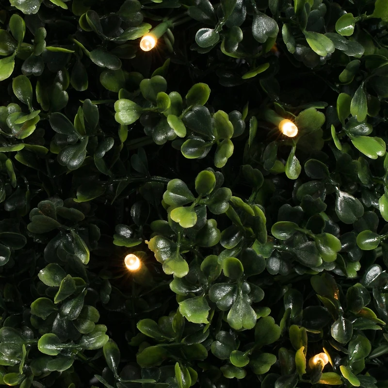 5ft. Pre-Lit Potted Boxwood Cone