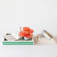 Hello Honey® 18" Green & Cream Reclaimed Wood Tray with Handles