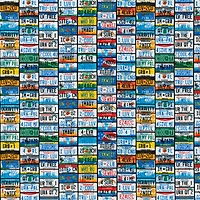 Fabric Traditions License Plates Cotton Fabric
