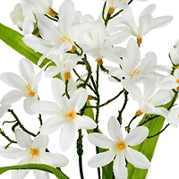 12" Mini Lily Bush by Ashland