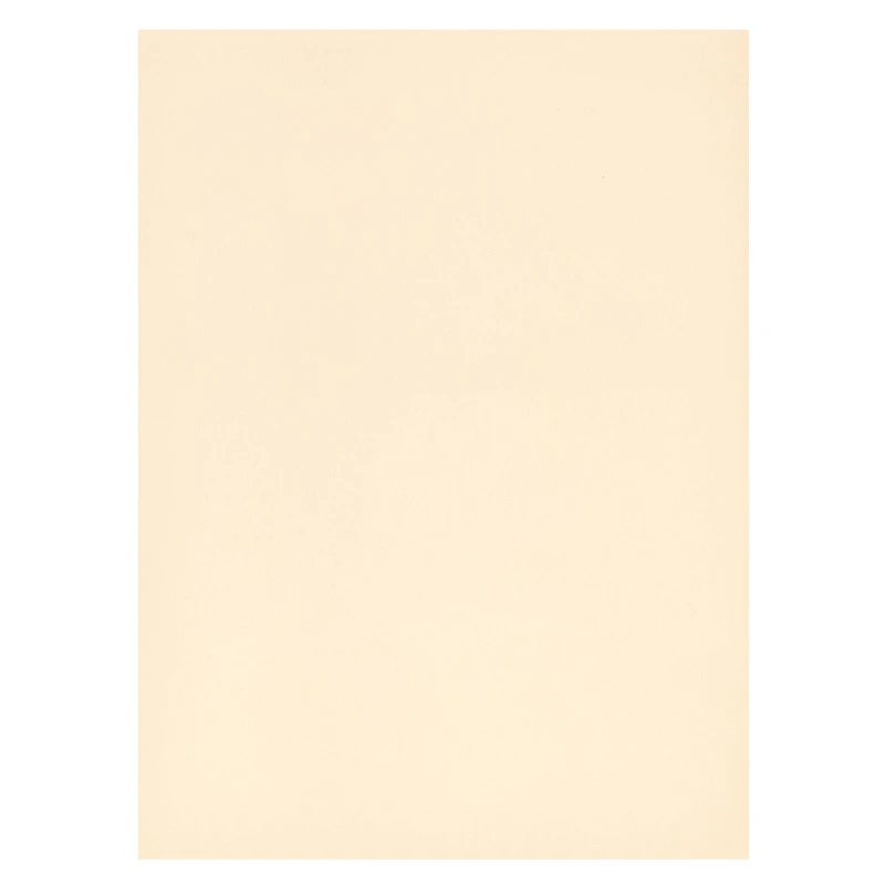 5.5" x 7.5" Cardstock Paper by Recollections™, 100 Sheets