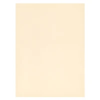 5.5" x 7.5" Cardstock Paper by Recollections™, 100 Sheets