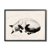 Stupell Industries Siamese Cat Nap Minimal Relaxed Pet in Black Frame Wall Art