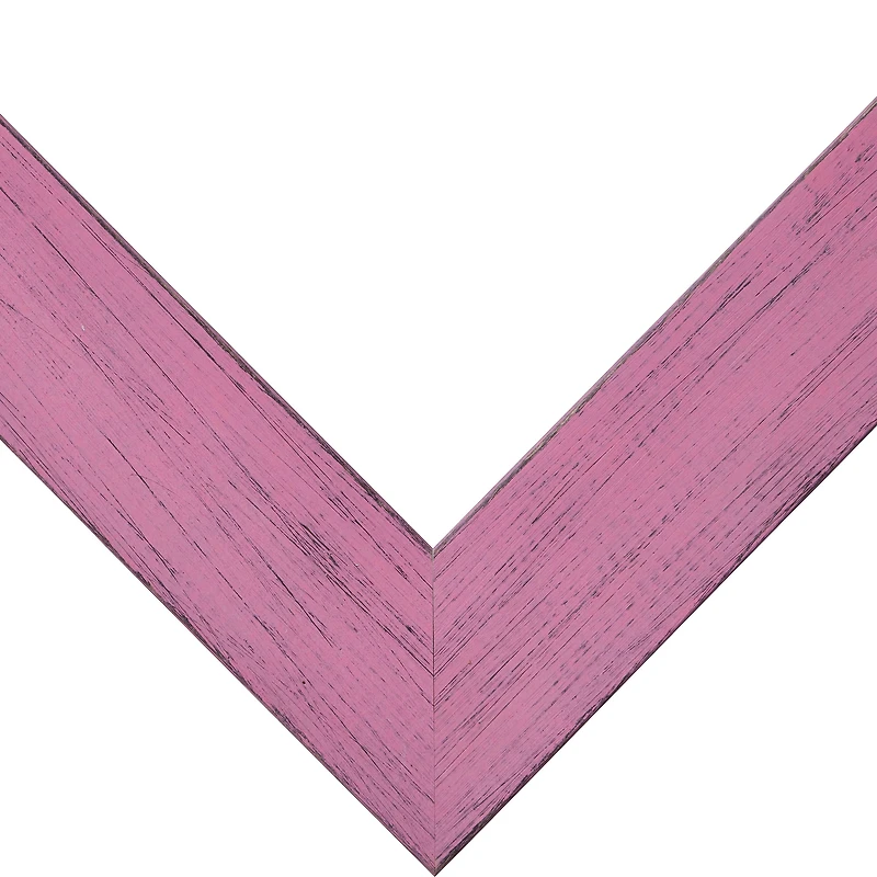 Craig Frames Jasper Petticoat Pink Picture Frame