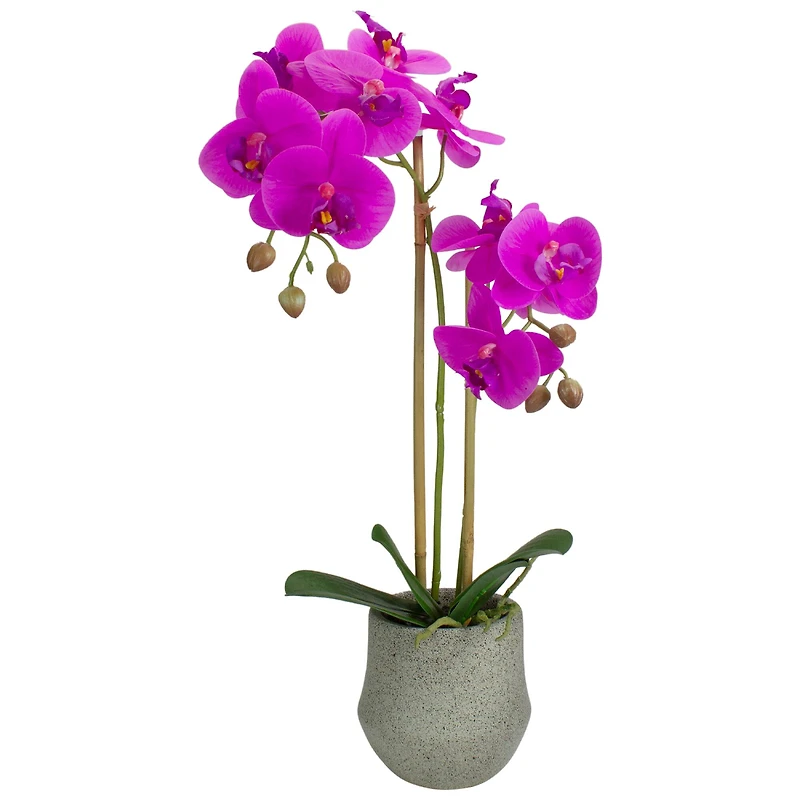14" Purple Orchid Plant in Gray Stone Pot