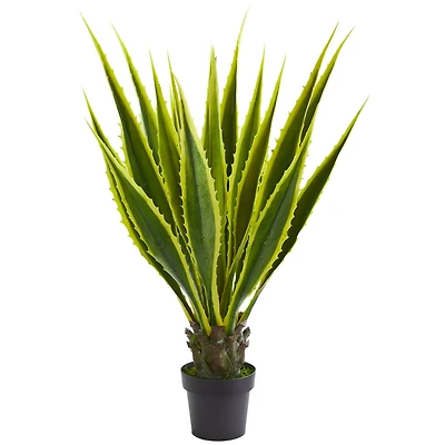 3.5ft. Potted Agave Plant