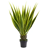 3.5ft. Potted Agave Plant