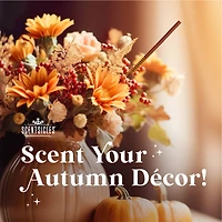 Scentsicles Scentfetti Autumn 'n Apples, Two Dashes of Cinnamon, Vanilla & Spice So Nice, 3 pack