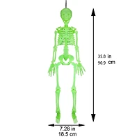3ft. Glow-in-the-Dark Skeleton by Ashland®