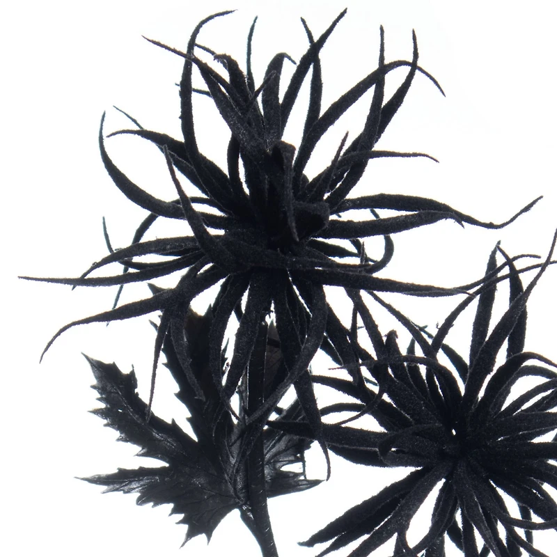 12" Air Plant Pick by Ashland®