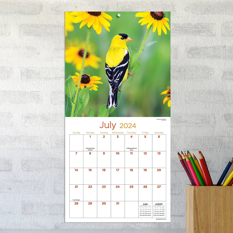 TF Publishing Backyard Birds Mini Calendar
