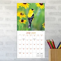 TF Publishing Backyard Birds Mini Calendar