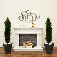 4ft. Potted UV Resistant Topiary Cedar Trees, 2ct.