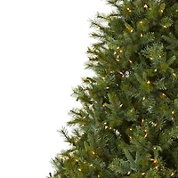 7.5ft. Pre-Lit Majestic Multi-Pine Christmas Tree, Clear Lights