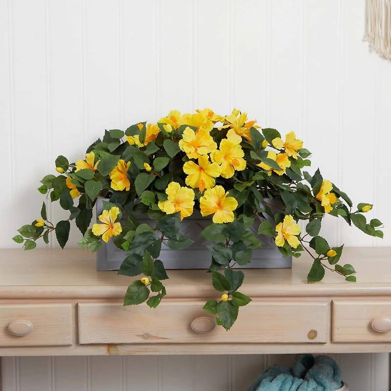 18" Yellow Hibiscus Plant in Stone Planter