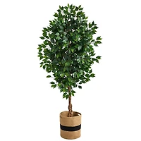 6ft. Ficus Artificial Tree with Natural Trunk in Handmade Natural Cotton Planter