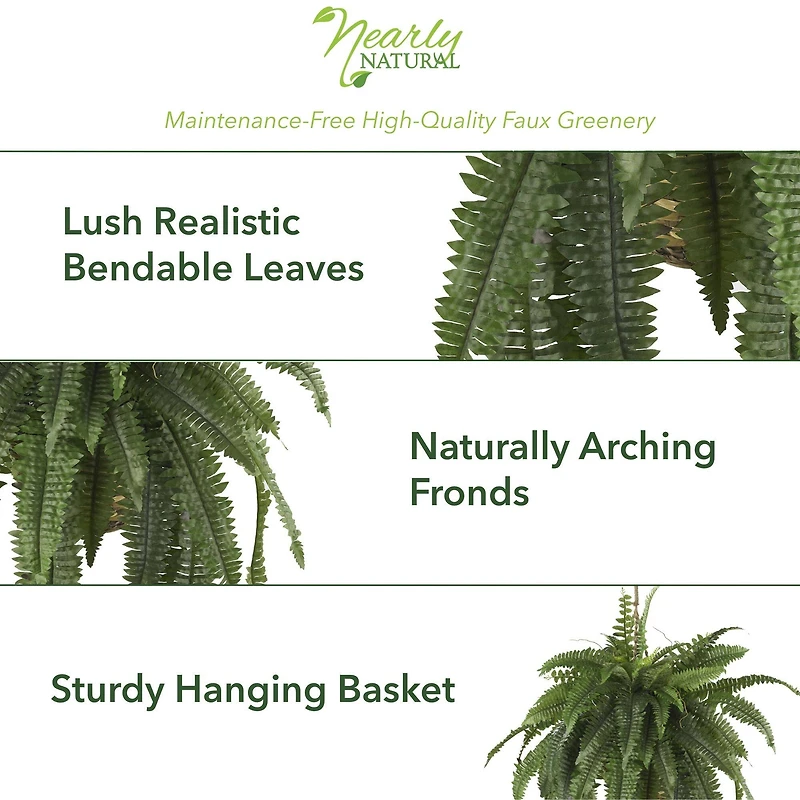 22" Boston Fern Hanging Basket