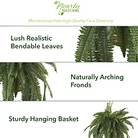 22" Boston Fern Hanging Basket