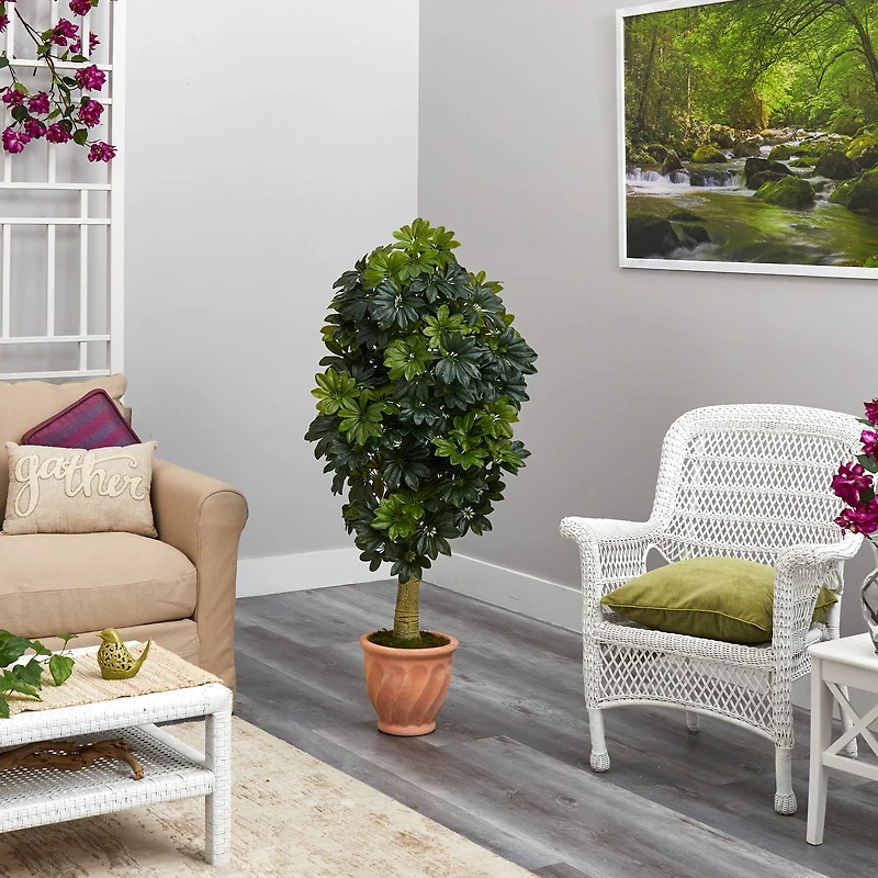 5ft. Umbrella Tree in Terra Cotta Planter