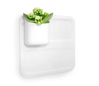 Honey Can Do Bitsy the Wall Cubby for Perch