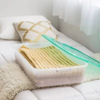 IRIS® 50qt. Mint Green & Clear Underbed Storage Box with Latching Lid