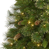 6ft. Pre-Lit Golden Tip Washington Pine Artificial Christmas Tree, Clear LED Lights