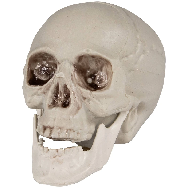 4.75" Skull Halloween Decorations, 6ct.