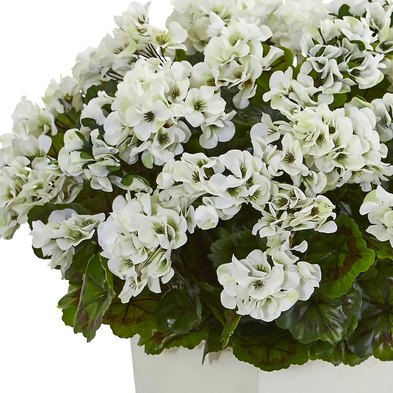 27" White UV Resistant Geranium Arrangement in White Planter