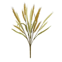 18" Wheat Bush by Ashland