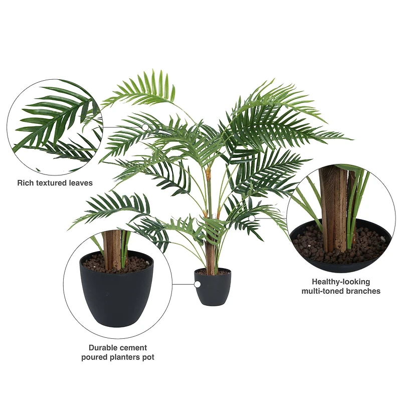 3ft. Potted Fern Palm with Real Touch Leaves