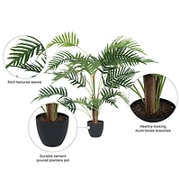 3ft. Potted Fern Palm with Real Touch Leaves