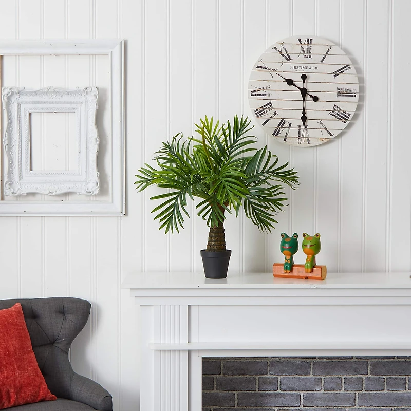 2ft. Robellini Palm Tree in Black Planter