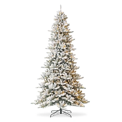 10ft. Pre-Lit Flocked Fir Artificial Christmas Tree, Warm White Lights