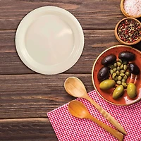 JAM Paper 9" Plastic Party Plates