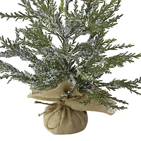 24" Unlit Real Touch™️ Iced Cedar Artificial Christmas Tree