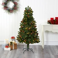 5ft. Pre-Lit Rocky Mountain Spruce Artificial Christmas Tree, Clear LED Lights