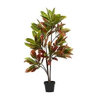 46" Potted Croton Shrub Tree