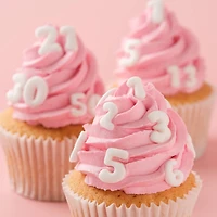PME Cake Sweet Street™ Numbers Icing Decorations