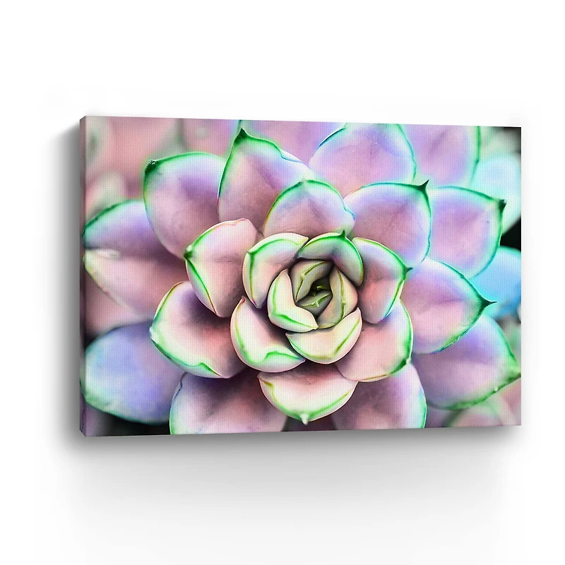 Succ You Canvas Giclee