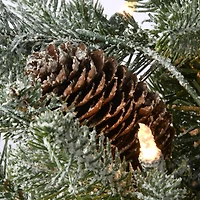 4ft. Pre-Lit Snowy Morgan Spruce Entrance Artificial Christmas Tree, Clear Lights