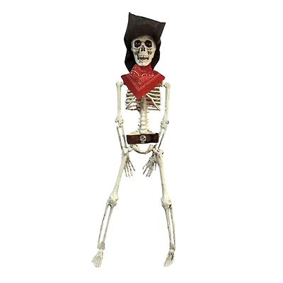 16" Pirate Skeleton by Ashland®