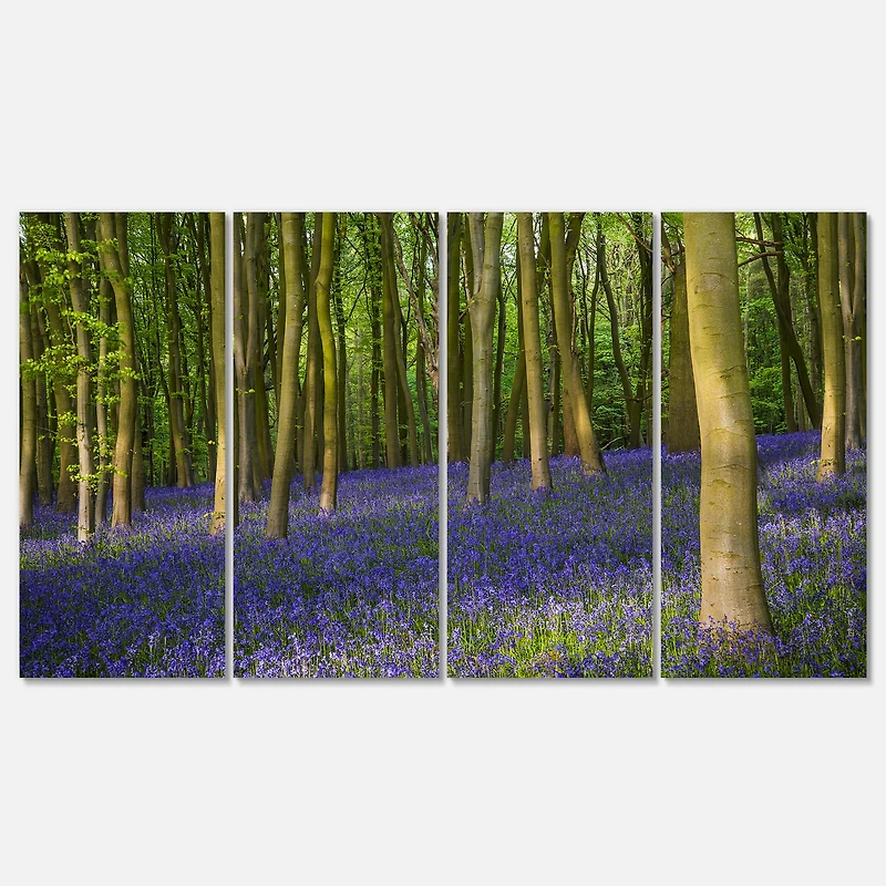 Designart - Bluebell Woods in Oxfordshire