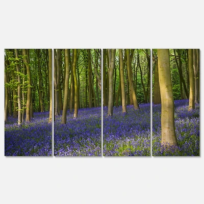 Designart - Bluebell Woods in Oxfordshire