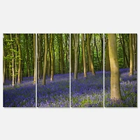 Designart - Bluebell Woods in Oxfordshire