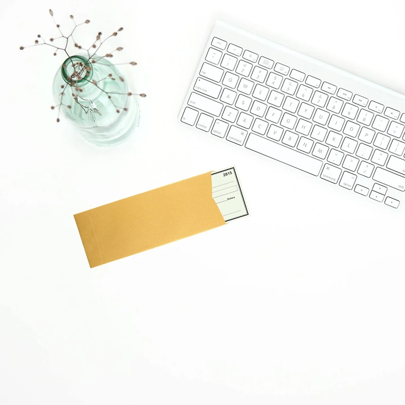 JAM Paper #10 Policy Metallic Business Envelopes