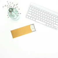 JAM Paper #10 Policy Metallic Business Envelopes